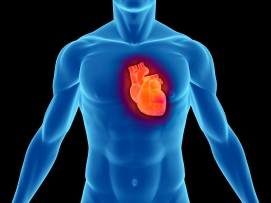 risco cardiovascular